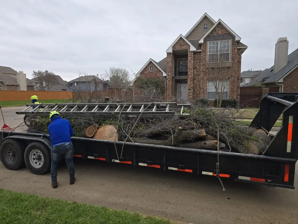 Expert Tree Fertilization with proper safety equipment in Baltic
